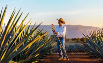 Activa Jalisco estrategia de impulso económico con bolsa de 4 mil 662 millones de pesos