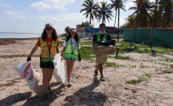 Realizan jornadas de limpieza en playas de Yucatán