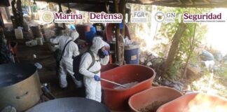 En Guerrero, Marina, SSPC y FGR desmantelan un laboratorio clandestino y aseguran 300 kilos de metanfetamina