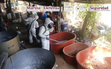 En Guerrero, Marina, SSPC y FGR desmantelan un laboratorio clandestino y aseguran 300 kilos de metanfetamina