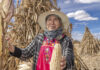 Aumentan en 25% el rendimiento del cultivo de maíz con transición agroecológica / Por Alicia Valverde