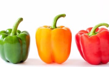 Envía México primer embarque chile morrón a Japón; también se espera exportar otros chiles y mango: CNA / Por Alicia Valverde