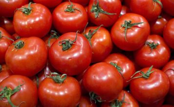 Alza del precio del jitomate se mantendrá hasta mayo: Sistema Producto Tomate / Por Alicia Valverde