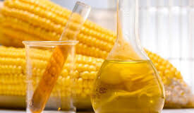 Cañeros: asimetría comercial con EU; piden reciprocidad en edulcorantes en el T-MEC / Por Alicia Valverde