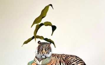 Llega por primera vez a Yucatán exposición con más de 100 años de dibujo mexicano