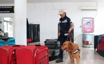 Llaman a turistas a informarse sobre los productos prohibidos para ingresar a México en el Mundial / Por Alicia Valverde
