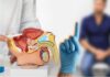 México llega a Día Mundial de Cáncer de Próstata con reto de impulsar detección temprana