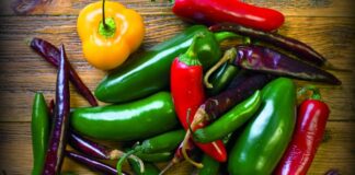 Invierte Chihuahua 39 mdp para combatir plaga en producción de chile