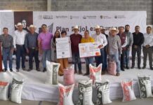 Arranca el Plan Frijol en Durango con la entrega de semilla certificada en beneficio de más de 6 mil productores / Por Alicia Valverde