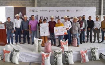 Arranca el Plan Frijol en Durango con la entrega de semilla certificada en beneficio de más de 6 mil productores / Por Alicia Valverde