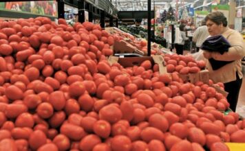 Baja 17% el precio del jitomate con el Acuerdo Nacional para ordenar la producción: Sader / Por Alicia Valverde