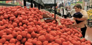 Con Acuerdo estabilizarán precio del jitomate, participa gobierno, academia, productores e investigadores / Por Alicia Valverde