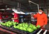 Investigan ingreso ilegal de plátano desde Guatemala / Por Alicia Valverde