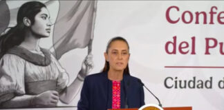 Sorprendente confesión de la presidenta Sheinbaum / Por Diana Domínguez