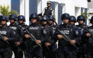 Acciones operativas en 21 municipios veracruzanos dejan 36 detenidos y el decomiso de 300 dosis