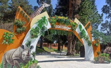 ¡Zoológico de Zacango también abrirá los lunes!