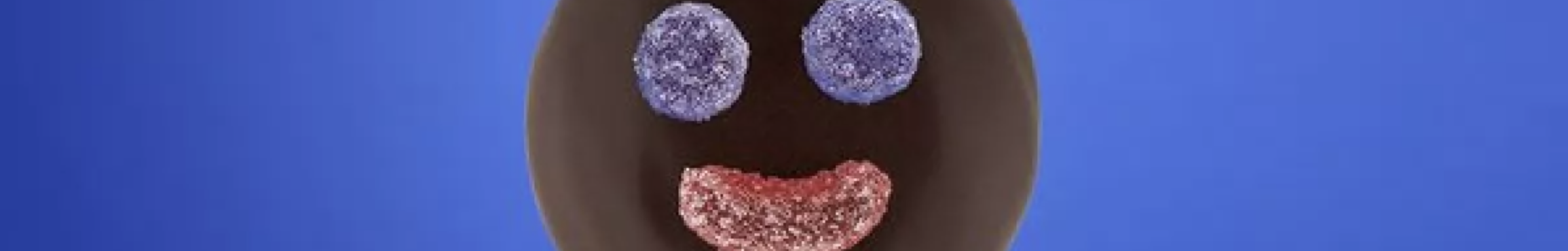 spot_img