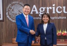 China busca vender a México arroz y sorgo / Por Alicia Valverde