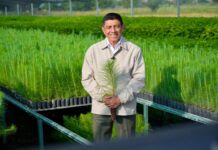 Oaxaca participará en la Jornada Nacional de Reforestación 2026