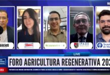 Suelo sano: Bimbo y especialistas impulsan la agricultura regenerativa
