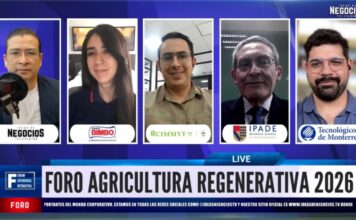 Suelo sano: Bimbo y especialistas impulsan la agricultura regenerativa
