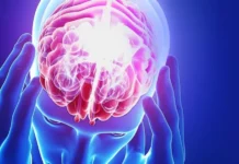 El cerebro humano viene ‘preconfigurado’ con instrucciones para comprender