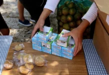 Inicia DIF Ciudad de México entrega de desayunos escolares en mil 368 planteles públicos