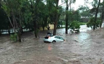 Empresas neerlandesas ofrecen a México soluciones contra inundaciones y captación pluvial