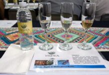 Lanzan Distintivo ‘Hecho en Jalisco’ para impulsar y reconocer productos regionales