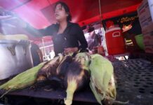 Central de Abasto CDMX conmemora el Día Nacional del Maíz, con “Del Campo a la Central: El Maíz, Raíz de México”