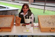 Coordina EdoMéx detección y control de insectos descortezadores para proteger los bosques del sur